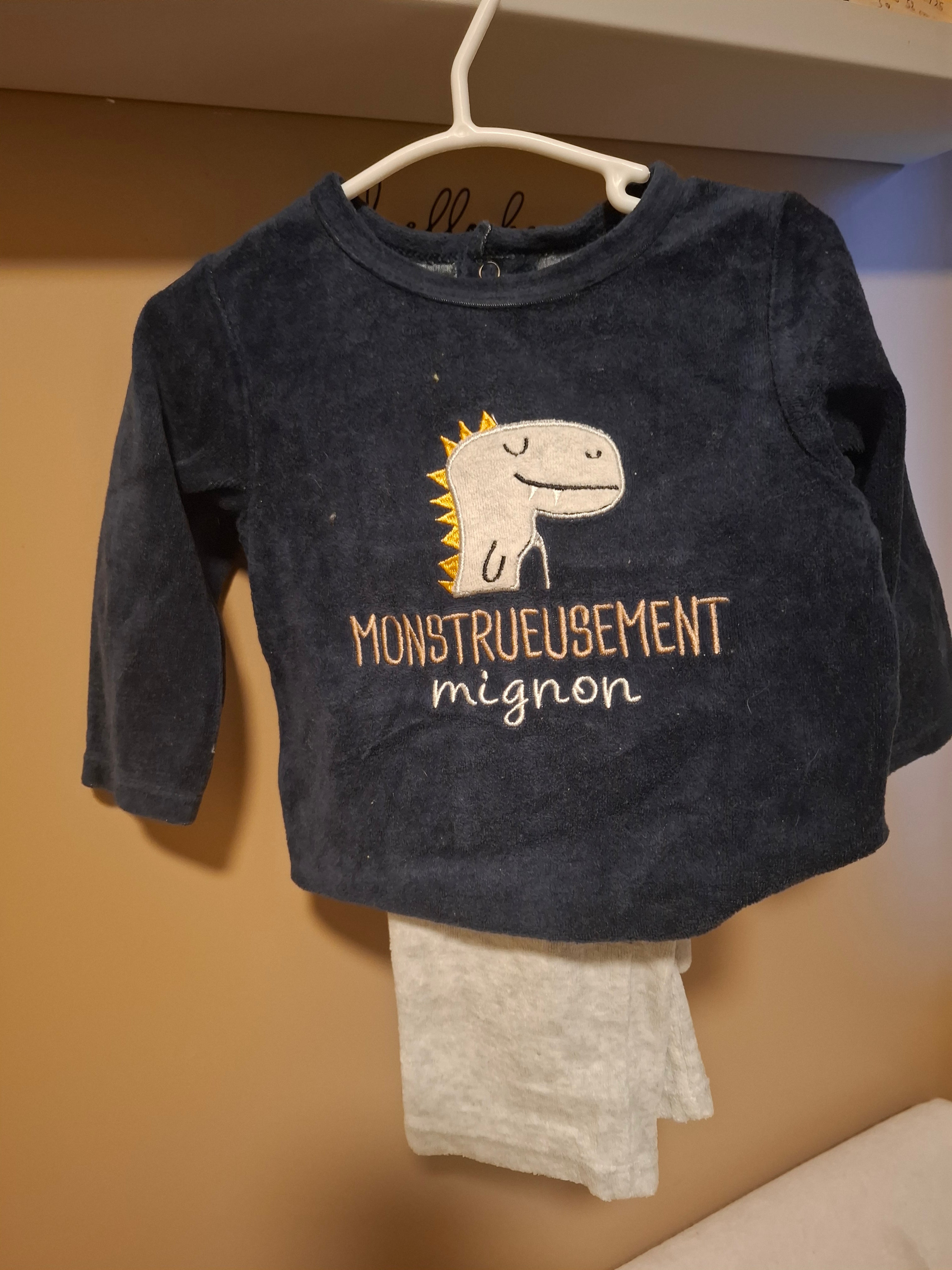 Ensemble pyjama 2 pieces taille 12 mois